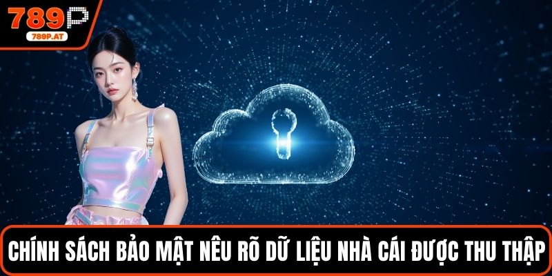 Chính sách bảo mật nêu rõ dữ liệu nhà cái được thu thập