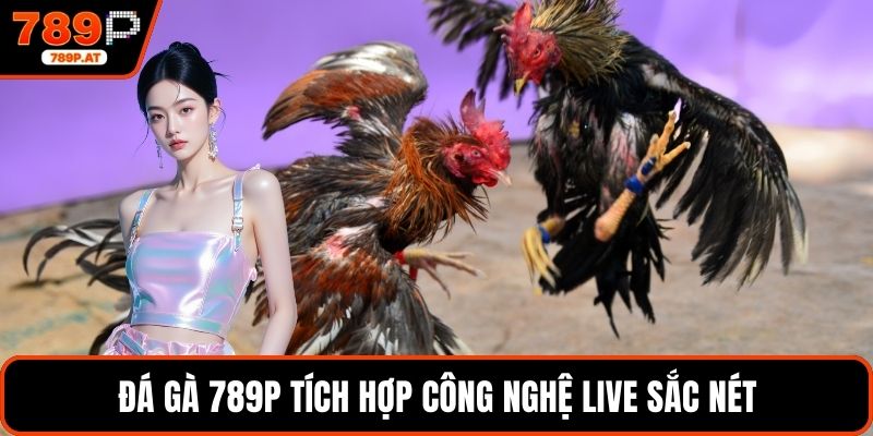 Đá gà 789P tích hợp công nghệ live sắc nét