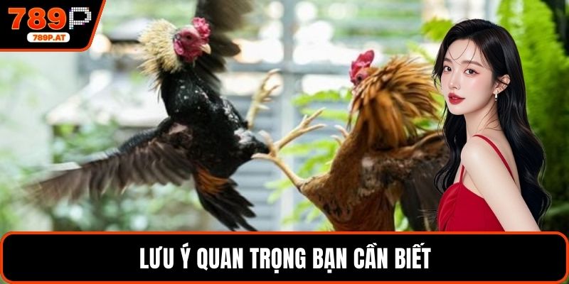 Lưu ý quan trọng bạn cần biết