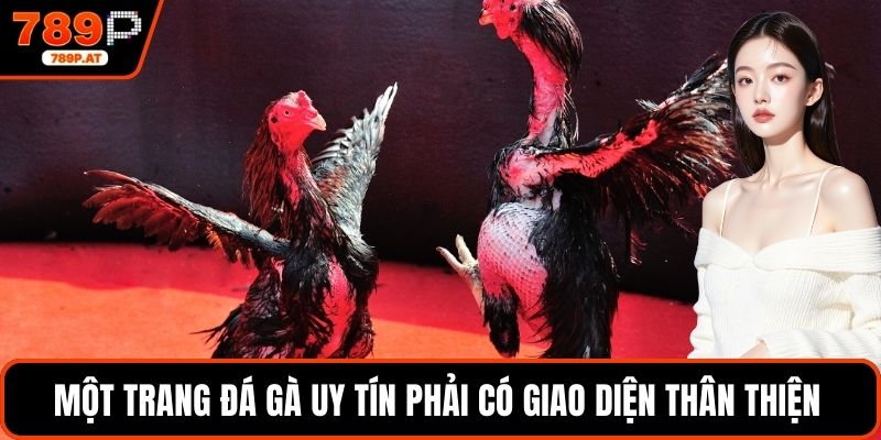 Một trang đá gà uy tín phải có giao diện thân thiện 