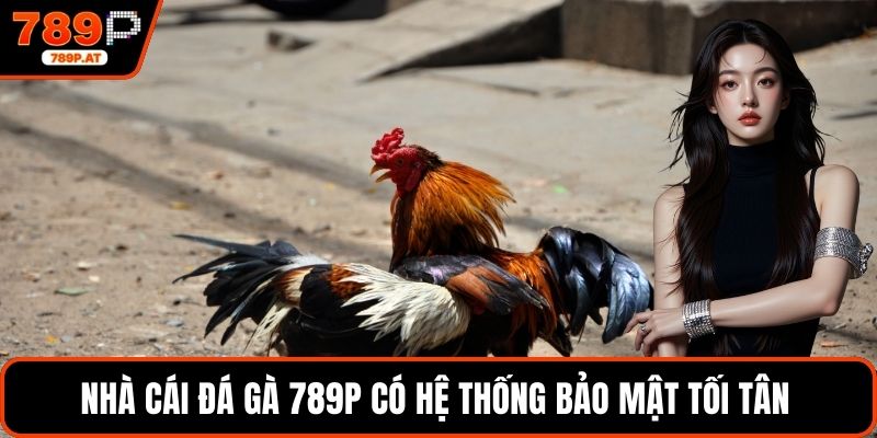Nhà cái đá gà 789P có hệ thống bảo mật tối tân 