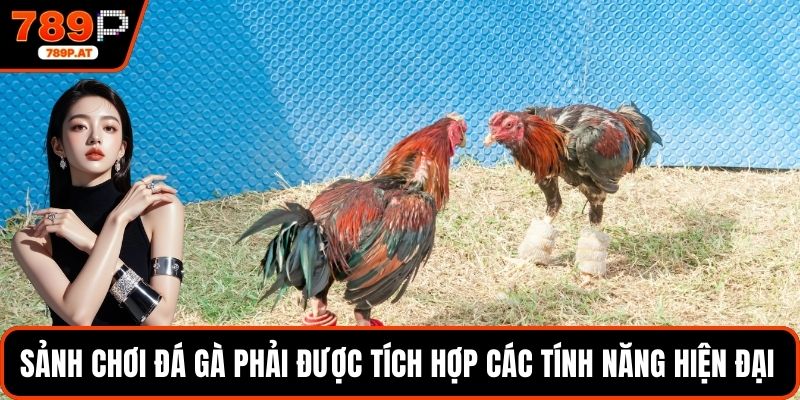 Sảnh chơi đá gà phải được tích hợp các tính năng hiện đại 