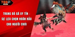 trang đá gà uy tín